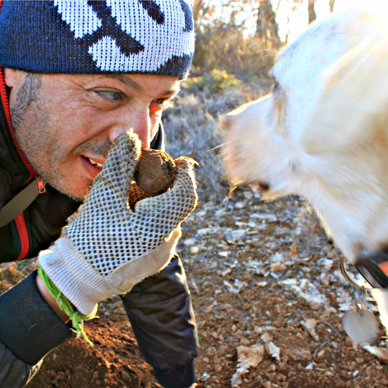 Trüffel-Produzenten in der Provence - Amuseti
