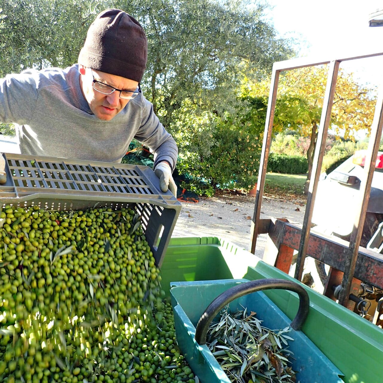 Was für Vorteile hat es, Olivenöl direkt vom Erzeuger zu kaufen?