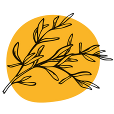 Französische Lebensmittel Online Shop logo